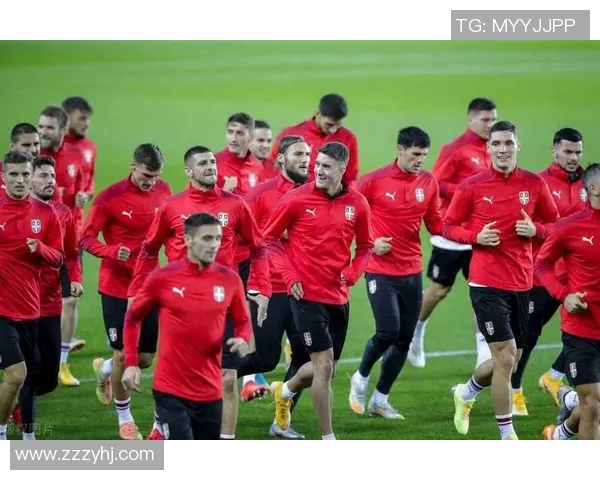 挪威足球明星身价揭秘背后的市场价值与影响力分析